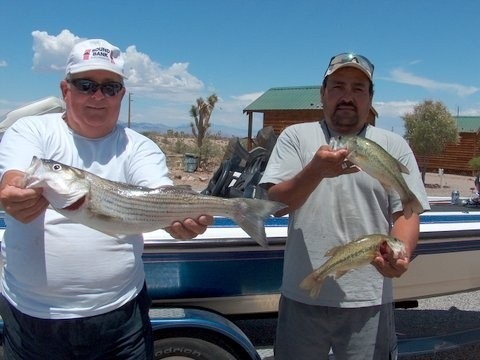 fishing lake mead 1